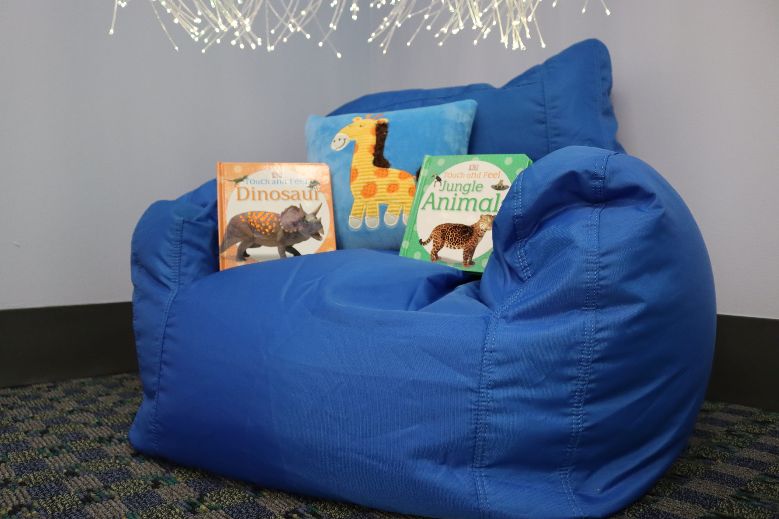 Sensory pillow set, Touch and Feel book set