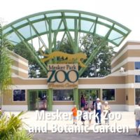 Mesker Park Zoo pass