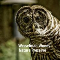 Wesselman Woods family pass