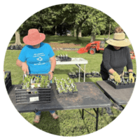 Photograph showing two people working outdoors at tables with trays of small plants, likely engaged in gardening or plant potting. Both individuals wear wide-brimmed hats for sun protection, and a red tractor is visible in the background on a grassy area with trees.